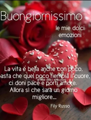 5 - Trans Roma - 3668926848