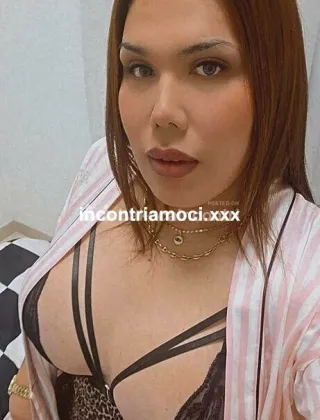 2 - Brandy Trans Bolzano - 3717497016