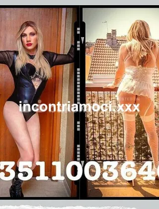 16 - Lumia Trans Trans Alessandria - 3270259846