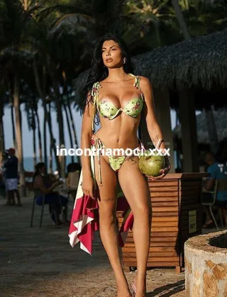 3 - Sophia Trans Alessandria - 3932866125