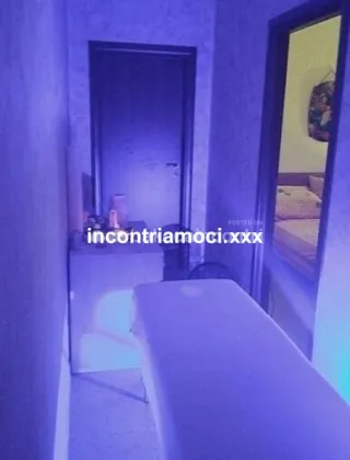 8 - Lionza Cavallona Trans Campobasso - 3348219962