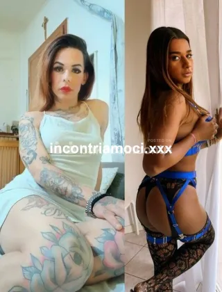 1 - Coppia Trans Torino - 3533266520