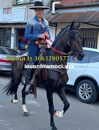 3663280577 - Eliana 36 Trans 🇨🇴 Colombiana Venezia