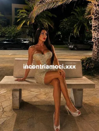 3 - Pamy Trans Terni - 3479599841