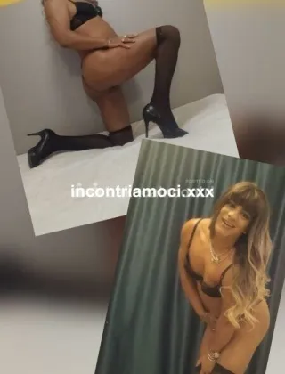 5 - Alexa Trans Rimini - 3883041238
