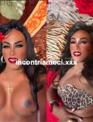 8 - Cristal Trans Trento - 3888342802