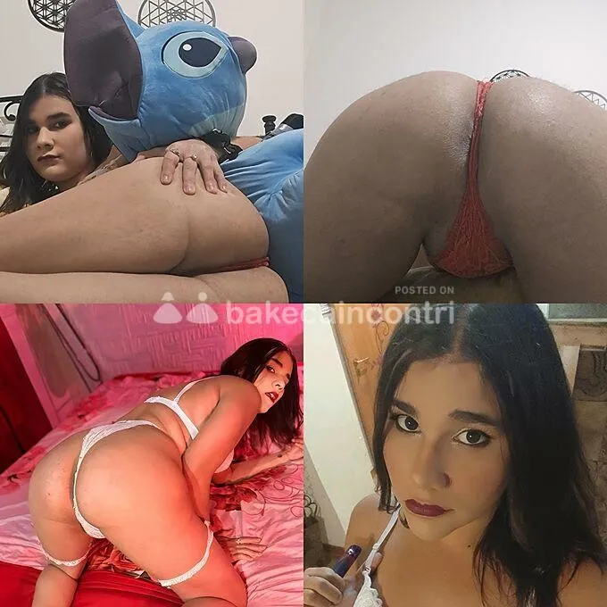 Stella Trans