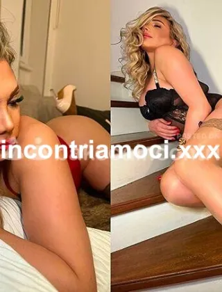 20 - Priscilla Trans Roma - 3275932908