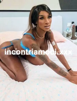 11 - Alma Trans Pistoia - 3934242772
