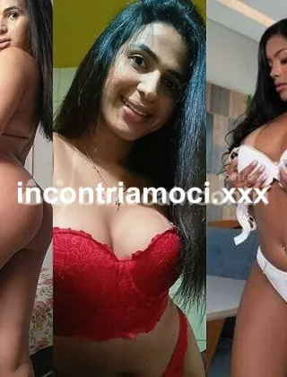 4 - Paola Trans Teramo - 3534824891