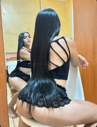 2 - Trans Bologna - 3522886562