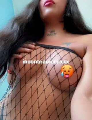 4 - Sheynis Trans Piacenza - 3883454134