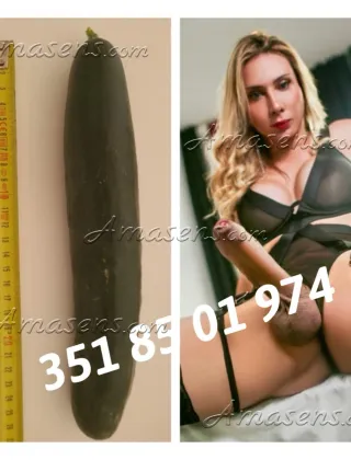11 - Amy Trans Trans Milano - 3518501974