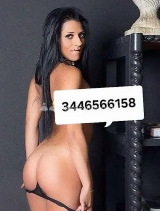 3 - Elysa Escort Treviso - 3446566158