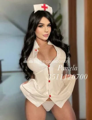 20 - Pamy Trans Pesaro e Urbino - 3342470846
