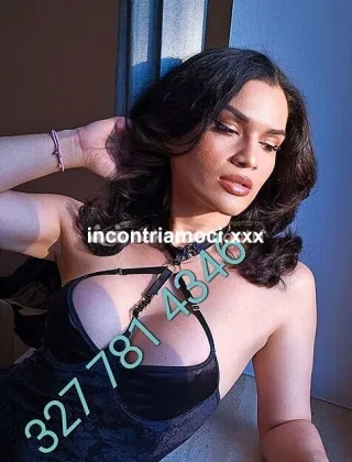 6 - Madoka Trans Bologna - 3277814346