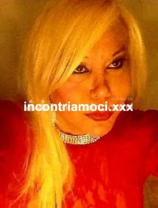 1 - Mino Trans Firenze - 3806827590
