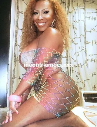 2 - Lorena Trans Alessandria - 3478717001