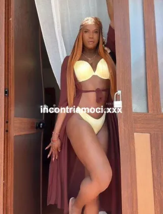 4 - Ivanna Trans Reggio Calabria - 3509774765
