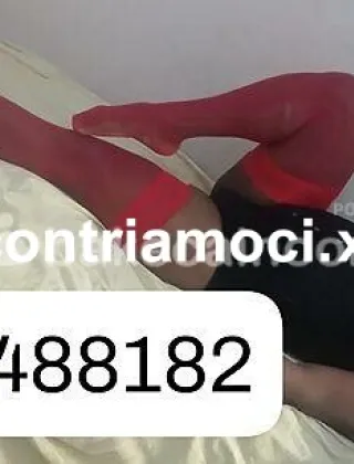 3 - Akira Trans Catania - 3445488182