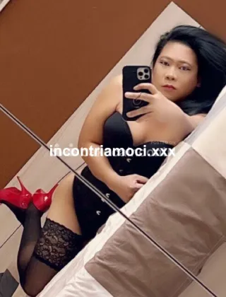 6 - Ahya Asiatica Trans Bologna - 3520527496