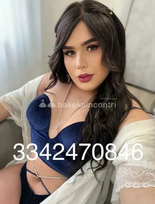 13 - Pamy Trans Pesaro e Urbino - 3342470846