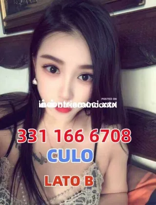1 - Ragazza Escort Varese - 3311666708