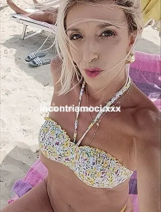 8 - Porcellina Siciliana Trans Palermo - 3517970236