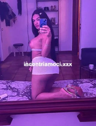 2 - Brenda Trans Pescara - 3446684281