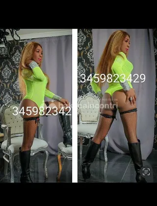 1 - Trans Elizabetha Trans Frosinone - 3459823429