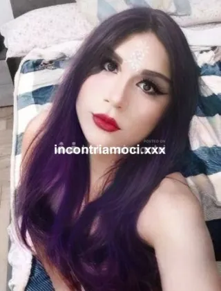 3 - Priscila Trans Torino - 3934585943
