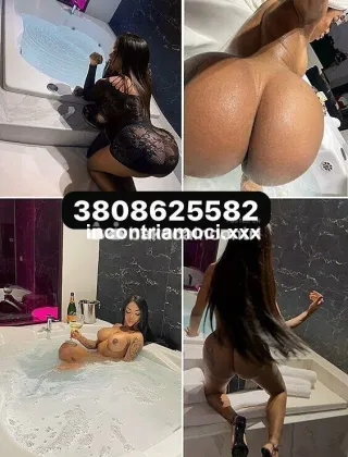 4 - New Trans Venezia - 3808625582