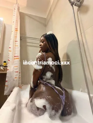 4 - Shaira Trans Cremona - 3511872722