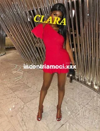 13 - Clara Escort Treviso - 3511426008