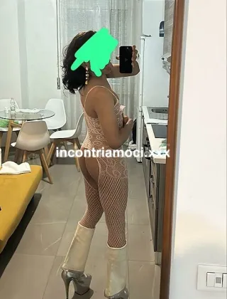 17 - Yasmints Trans Bergamo - 3925513130