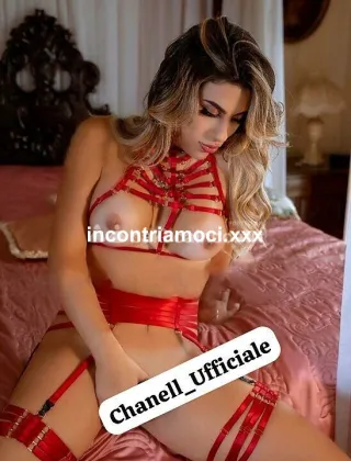2 - Chanell Trans Napoli - 3508887663