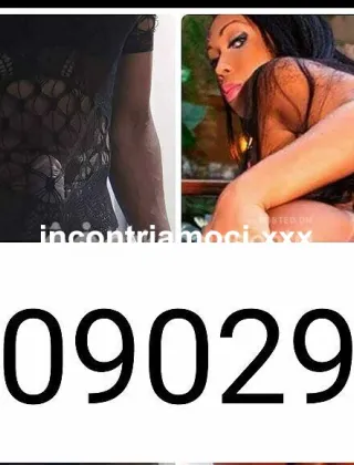 3 - Brenda Trans Milano - 3509029993