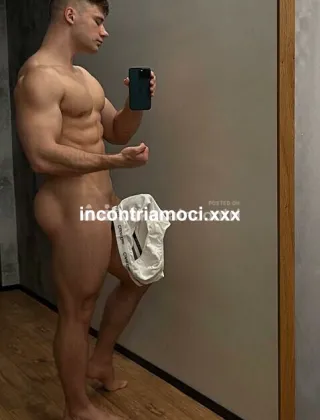 3 - Sebastian Trans Reggio Emilia - 3717639435