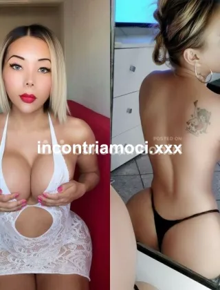 4 - Katty Trans Bologna - 3894566774