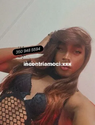 3 - Kimberly Trans Reggio Emilia - 3509485594