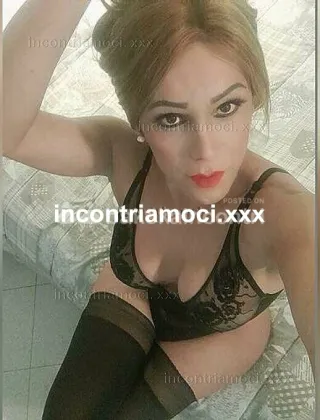 23 - Strella Trans Grosseto - 3274151299