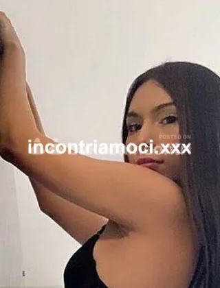 5 - Pamela Trans Torino - 3476095593