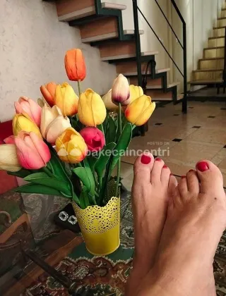 17 - Monica Escort Verona - 3474982369