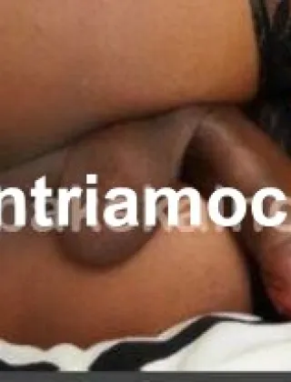 13 - Gabriella Trans Bologna - 3272625036