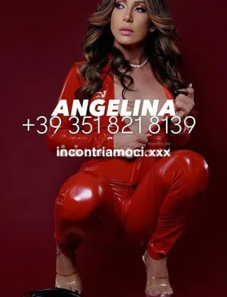 3 - Angelina Trans Parma - 3518218139