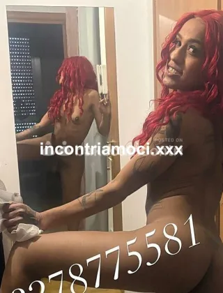 5 - Nataly Trans Trento - 3278775581