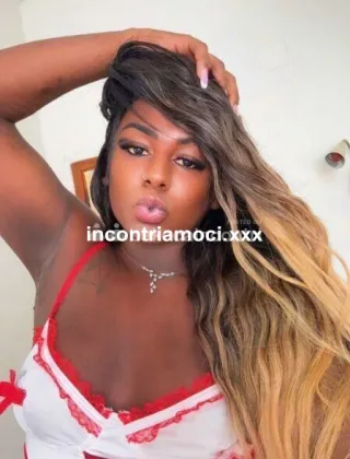 4 - Eduarda Trans Prato - 3932509445