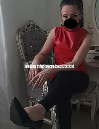 14 - Adina Trans Verona - 3427683543