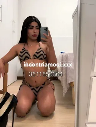 4 - Luciana Trans Alessandria - 3511550364