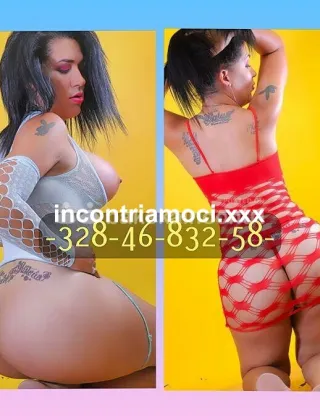 2 - Catalina Trans Milano - 3284683258